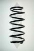 SPIDAN 49340 Coil Spring